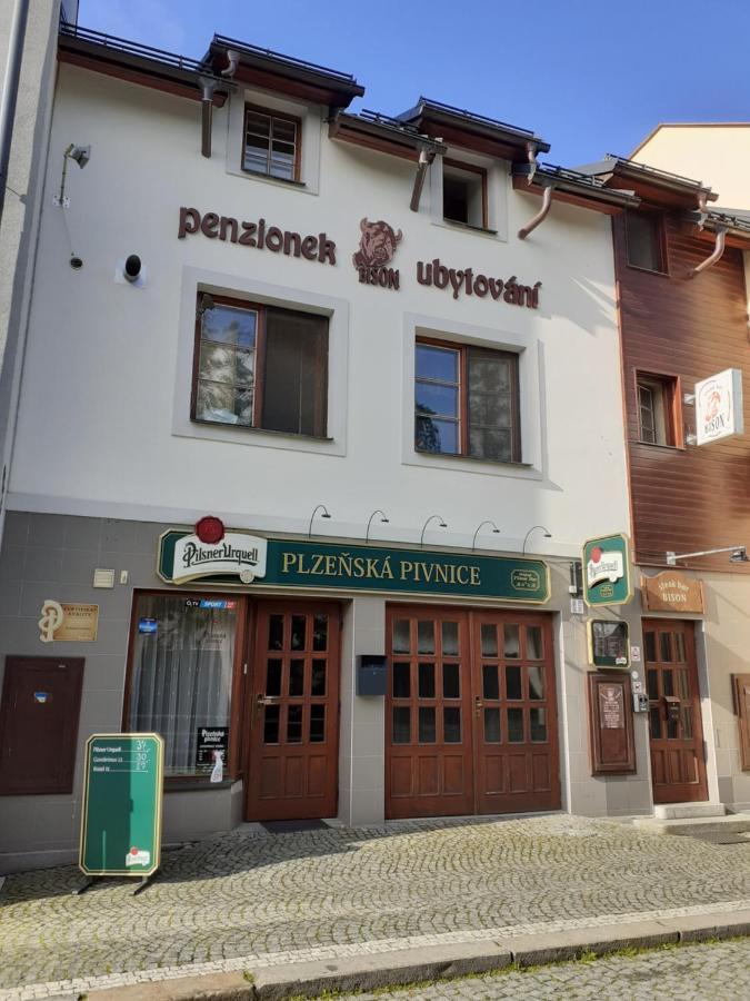 Ubytovani Nad Bisonem Hlinsko Bagian luar foto